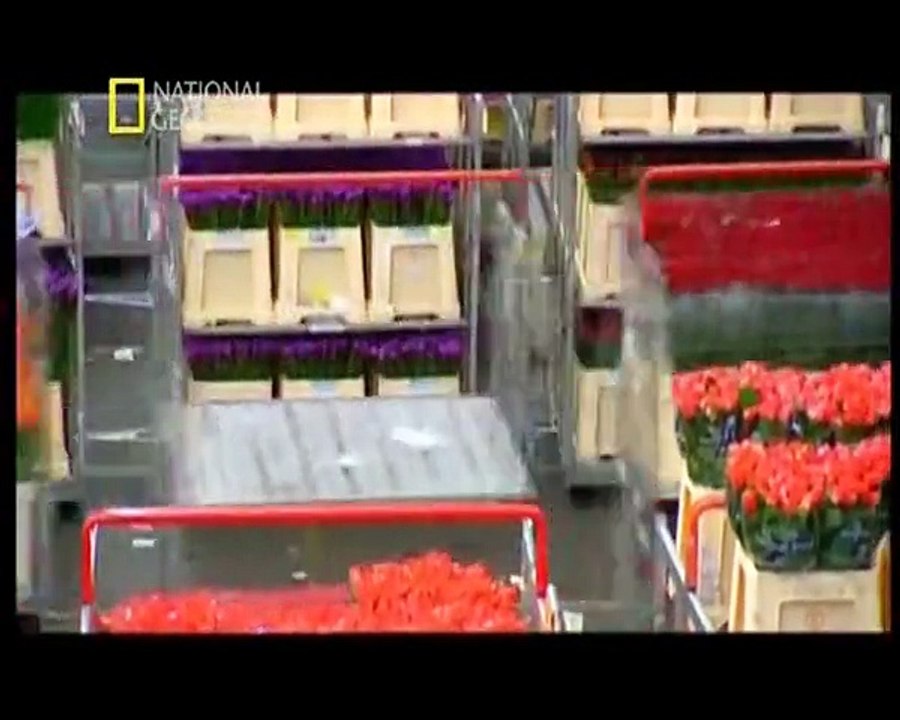 Mega Yapılar Boxset 17 Bölüm İzle » Belgesel izle