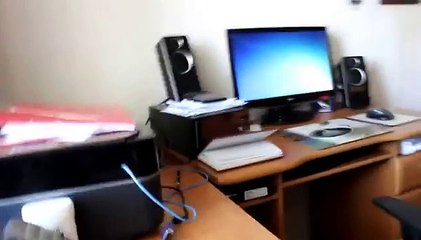 Бенгальский кот защищает технику