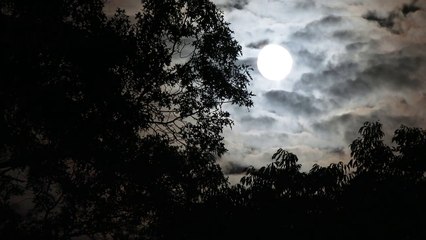 Super Blood Moon 4K  The Most Beautiful Eclipse You ll Ever See