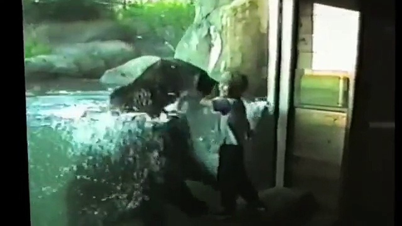 動物園での子どもたちの面白いコンピレーション！