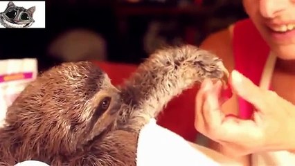 Дети животных.Они всегда забавны!