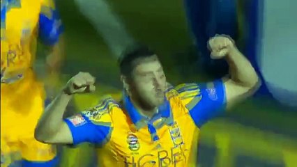 Tigres kupanın bir ucundan tuttu!