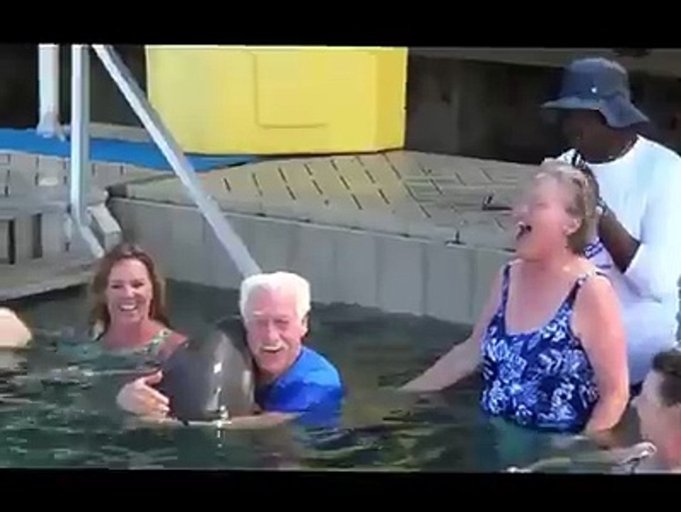 Funny Dolphin U Have ever Seen -  LOve