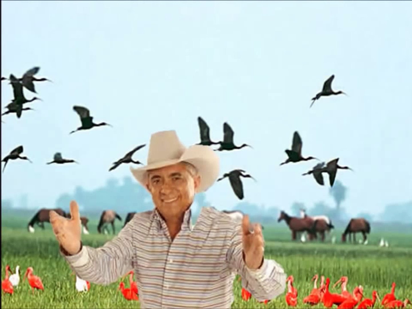 REINALDO ARMAS -ARPA VIEJA VAGABUNDA (720p)