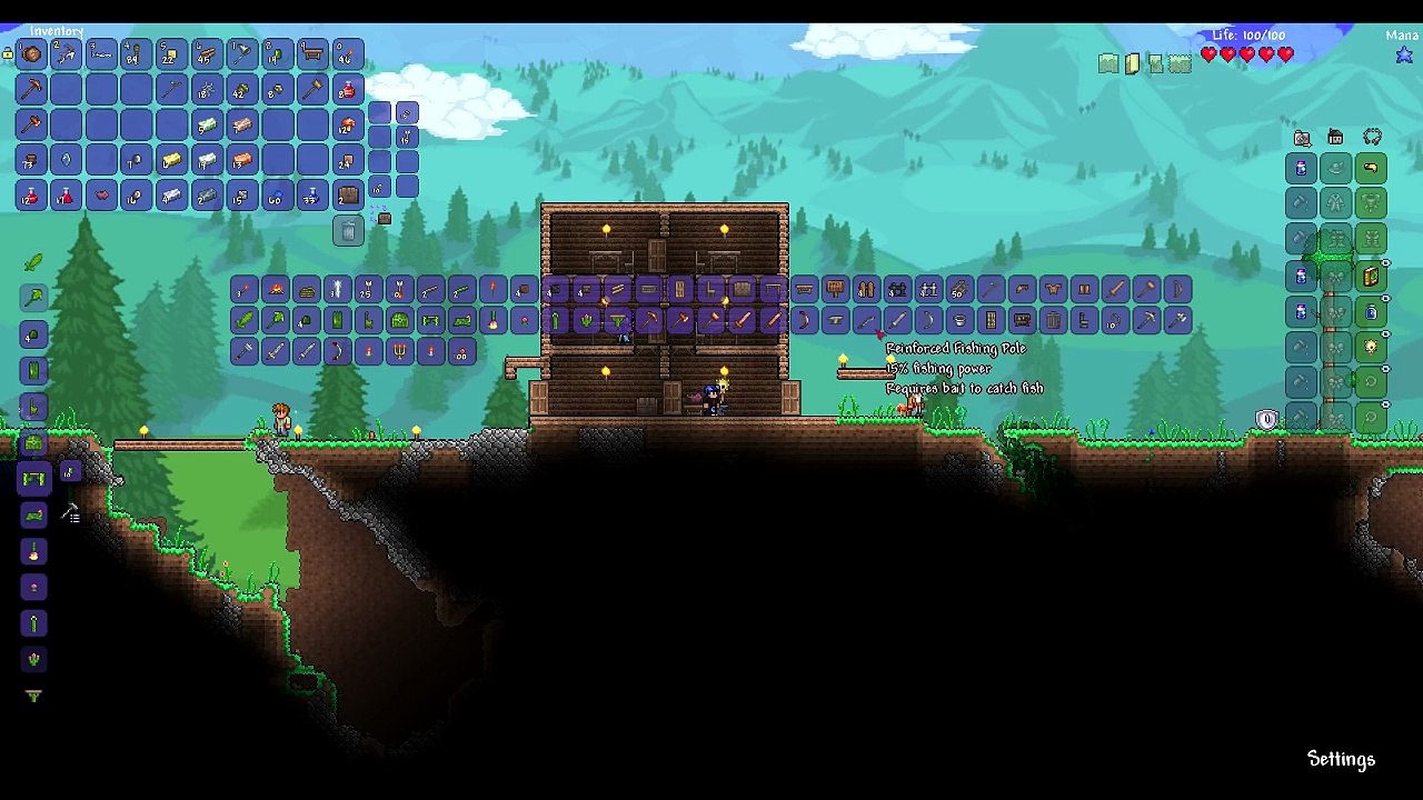 Terraria Yoyo