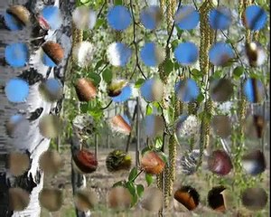 А Заря ГРУСТНО МНЕ...