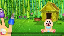 Polar Bear Finger Family - Animal Finger Family Songs For Children