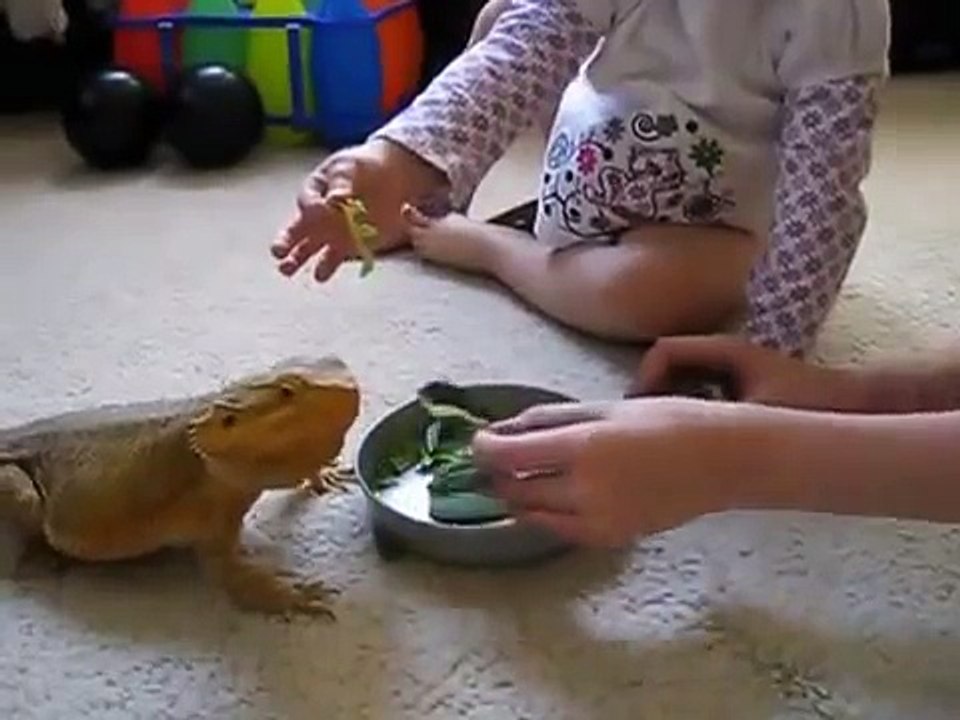 Crianças e caseiro dragão!