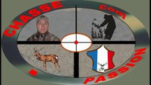 chasse a l'arc cerf 8 cors