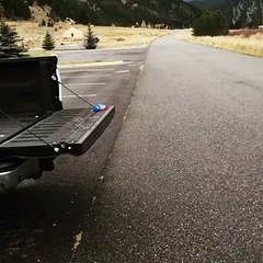 "Jump little-one, you can do it..." x