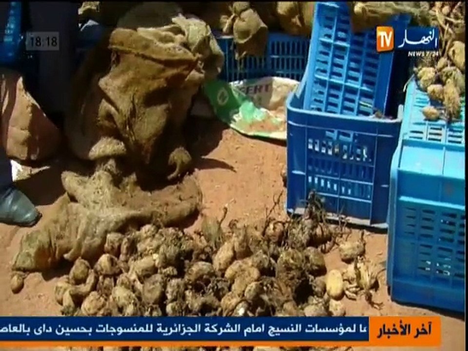 الاخبار المحلية ليوم 7جيلية 2013