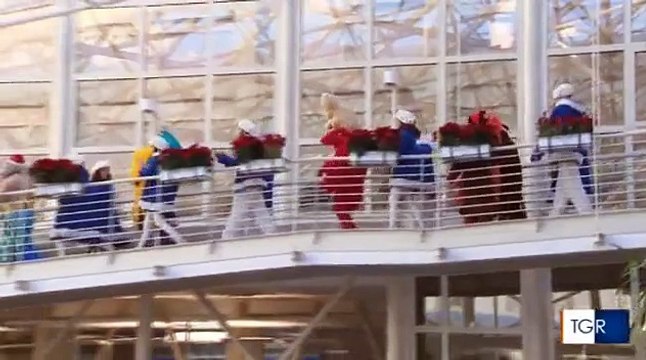 Tgr Lazio Unitalsi - Gemelli