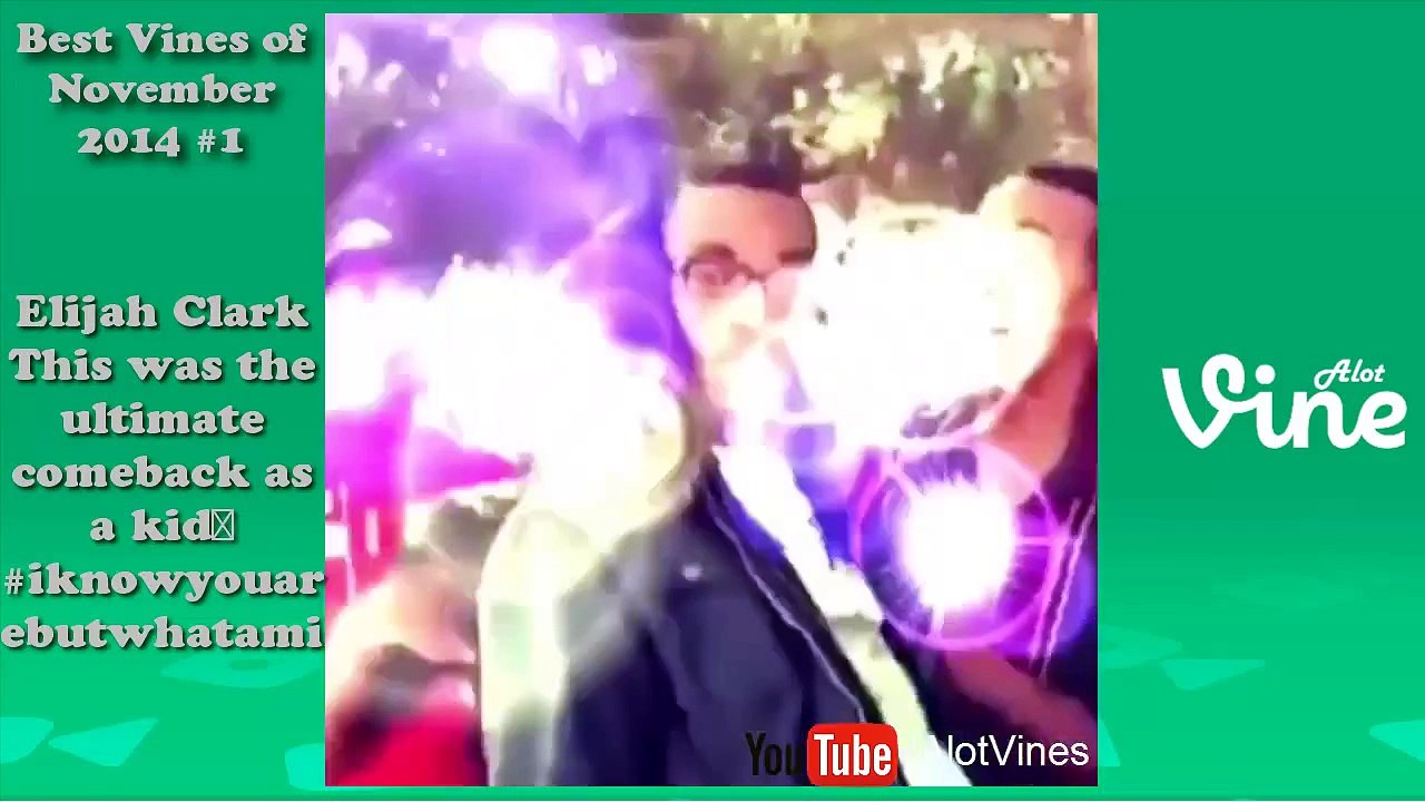New Best Vines Of November 2014 (Part 1) | November 2014 Vine Compilation | AlotVines