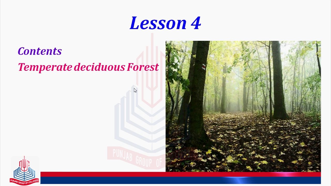Temperature Deciduous Forests