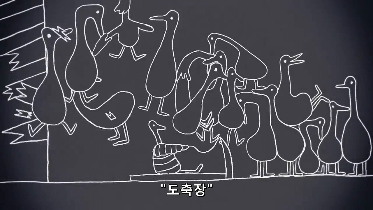 다운의 진실(Traceable down animated full_KOR)