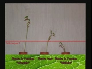 La musique et les Plantes