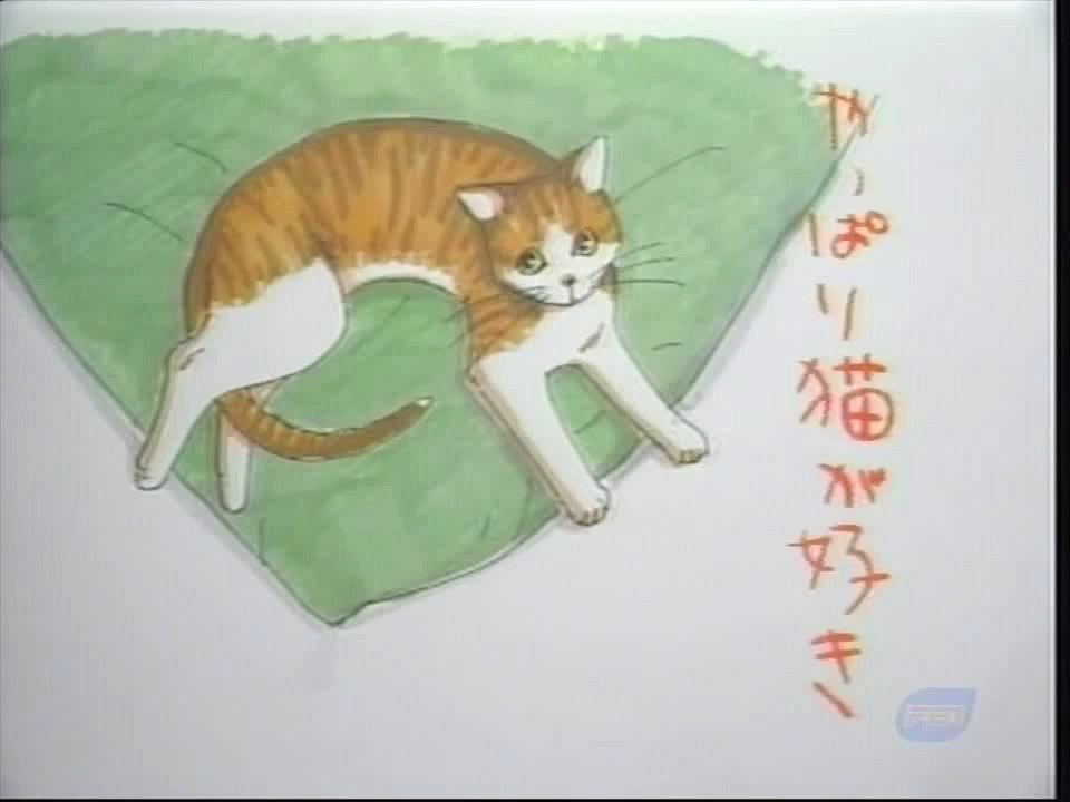 【やっぱり猫が好き】【相撲部屋がやって来た】1989年5月30日放送