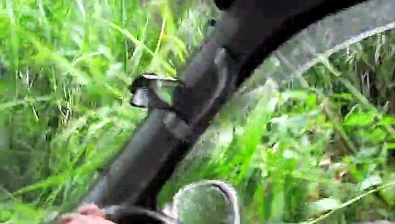 2011/8　0泊3日牛深の旅part2(探検編)