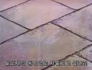 강서오피 ↘걸스데이ピ 유흥다이소 ピ수원오피"안산휴게텔일산휴게텔