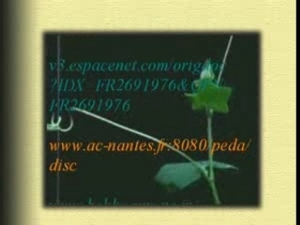 Bibliographie