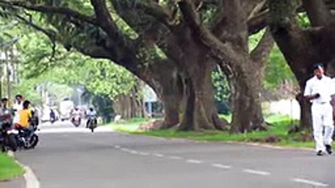 Live Bike Accident