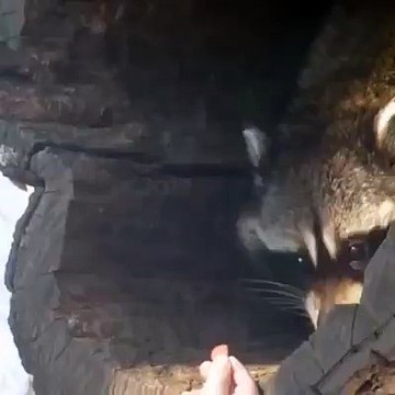 Смотрел 100 раз и еще 100 раз могу смотреть ❤