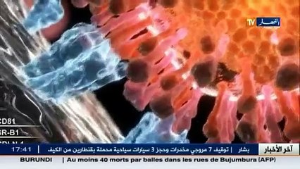 صحة  إنتاج أول دواء جنيس في الجزائر لمواجهة داء إلتهاب الكبد الفيروسي