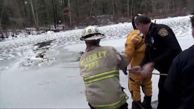 Firefighters saves a Dog stuck in Icy River