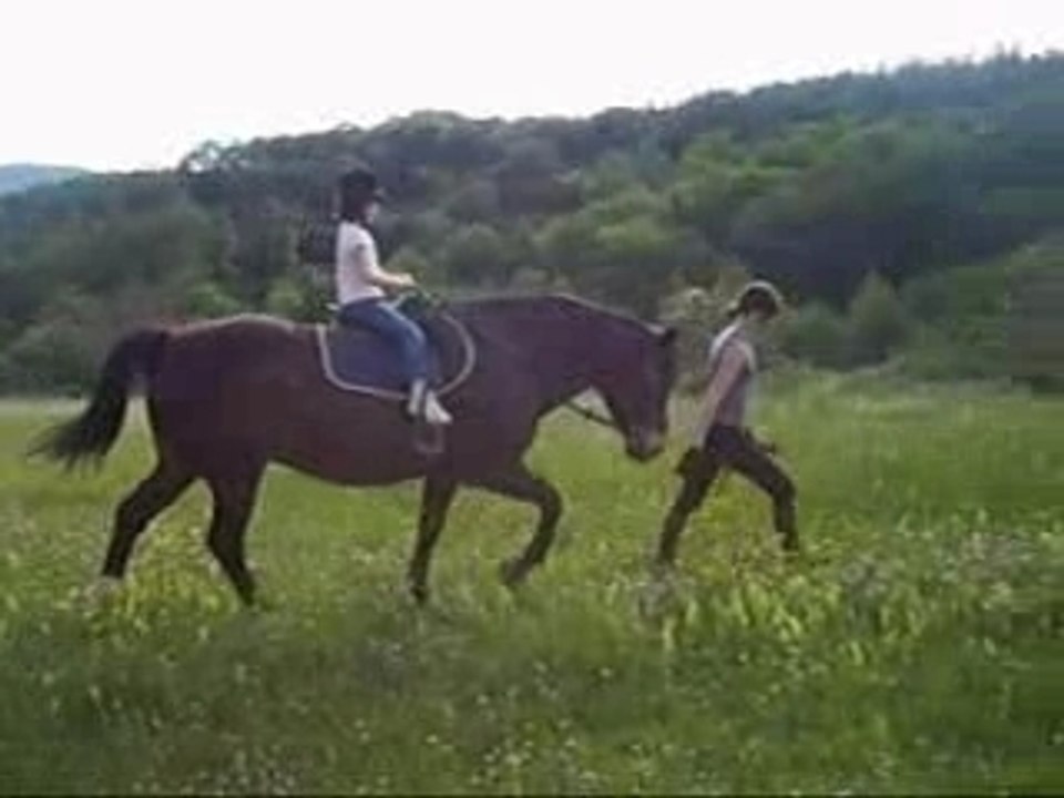 César mon petit... chien !