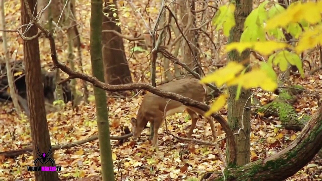 lerki ka shikar kerna dekhiye Big Deer Shot By Girl!!!!