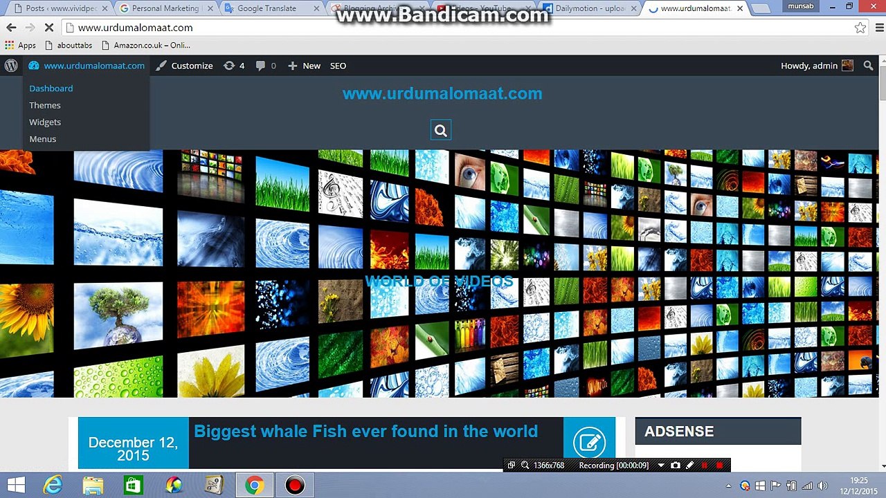 How to add Social Media Links in to wordpress website or blog
