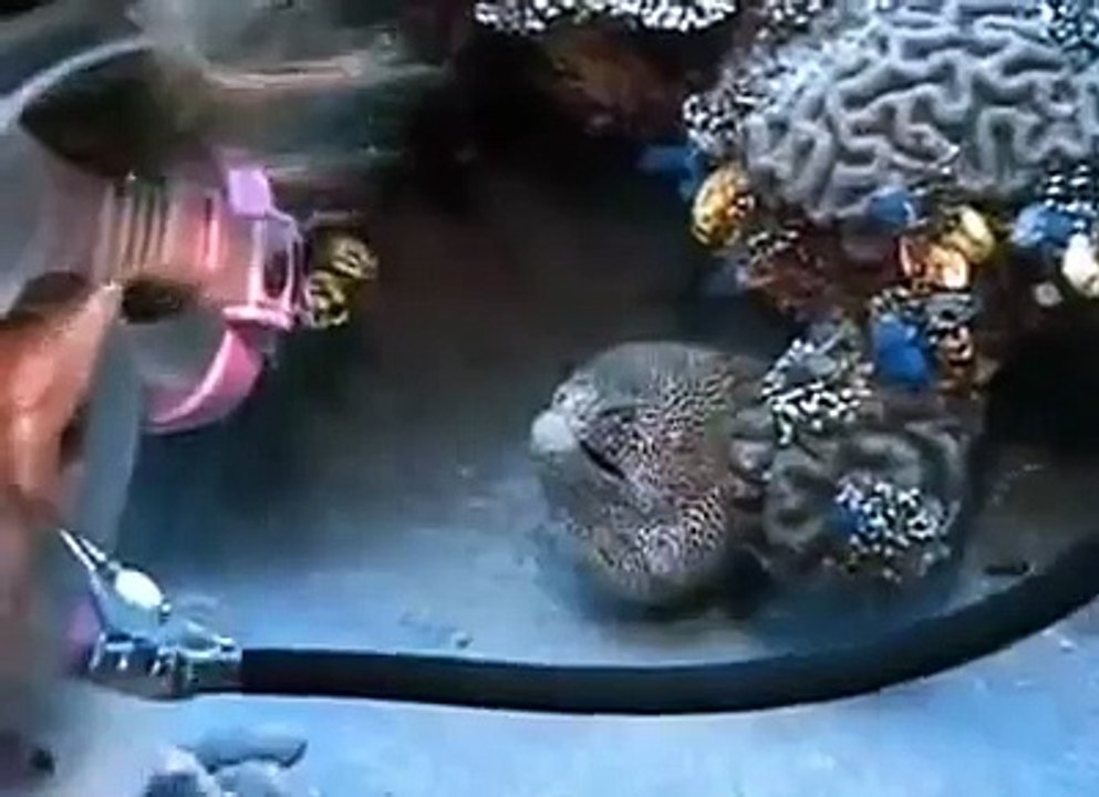 Sevginin Gücüne Herkes İnansın