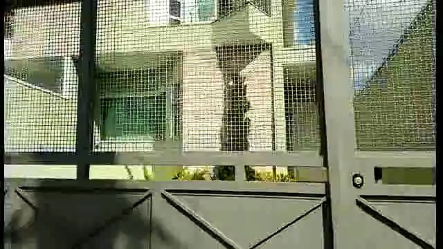 Portão Automático Tatuapé