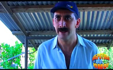 Добротный юмор (анекдоты) - Племенные быки отца