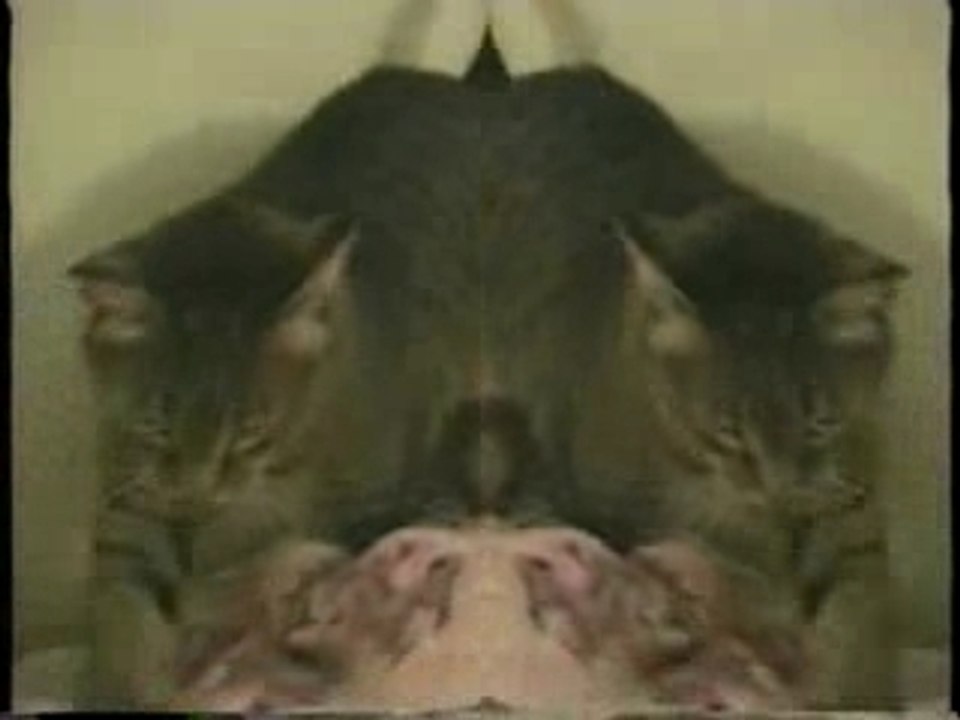 Nellie McKay - David