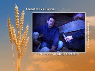 Selo moje, 13. decembar 2015. (RTV Bor)