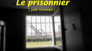 le prisonnier (petit moineau)