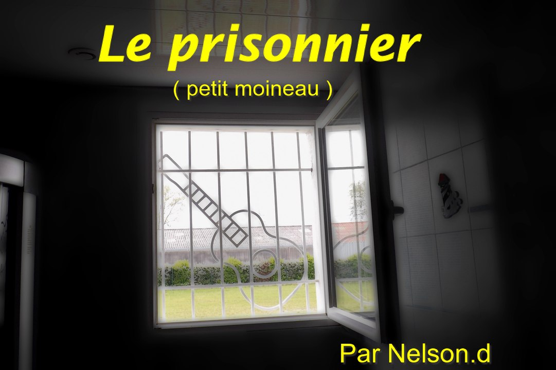 le prisonnier (petit moineau)