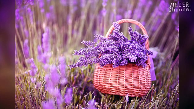 13 ИНТЕРЕСНЫХ ФАКТОВ О СЕКСЕ