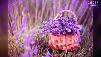 13 ИНТЕРЕСНЫХ ФАКТОВ О СЕКСЕ