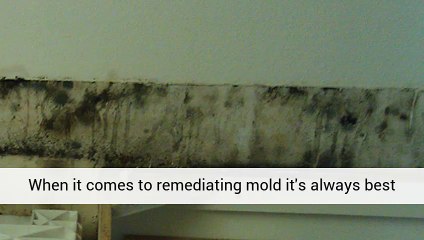 Mold Remediation Fayetteville Call 413-781-7408