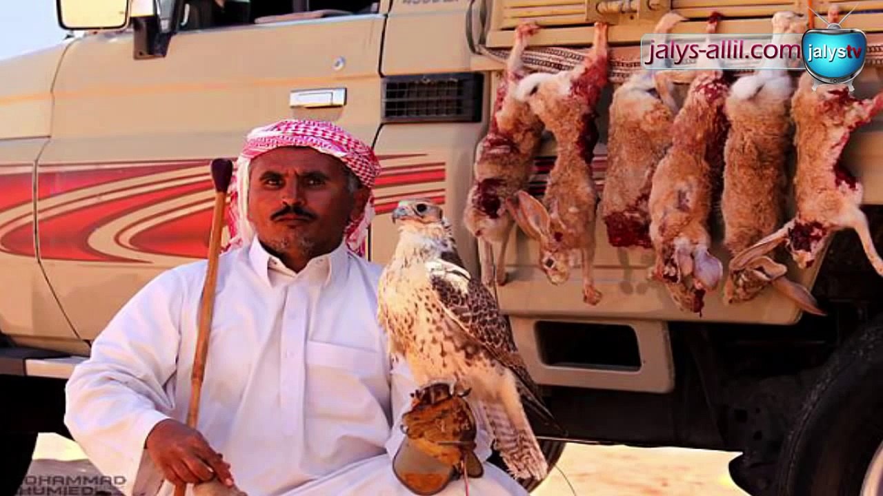 نشيد هب البراد وهيض القلـب | HD | حامد الضبعان | الدسكربشن مهم