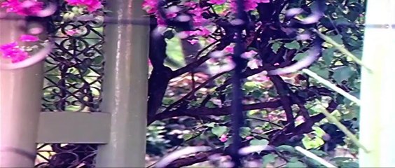 Hello Madras Girl Malayalam Movie Clips