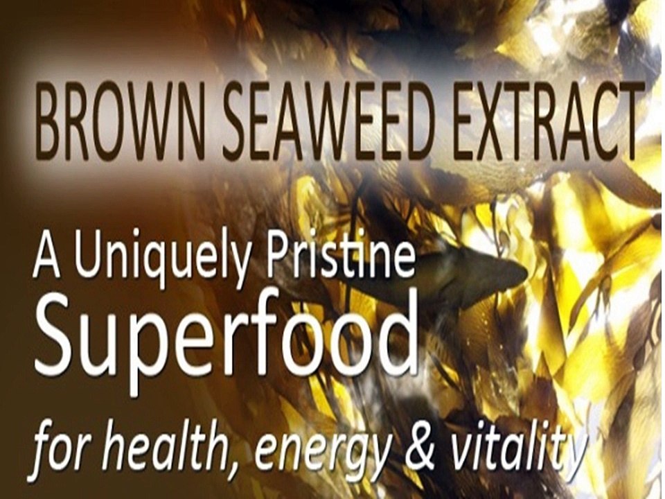 Anti Aging Supplement