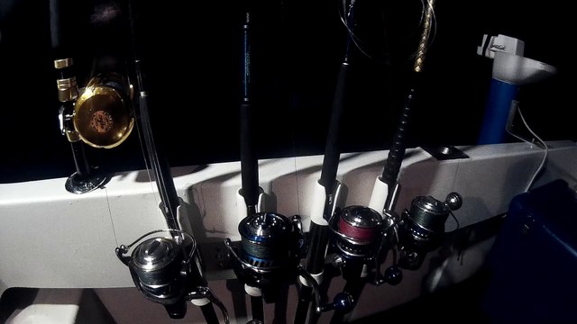 Silure Club Rhodanien : Journée pêche au thon Vidéo 1