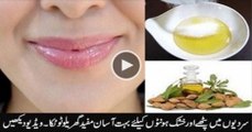 3 best tips for cracked lips in winter