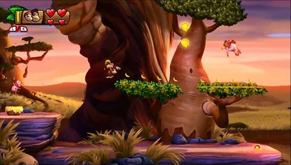 Donkey Kong Tropical Freeze 3 1 Carnaval Animal