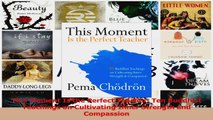 This Moment Is the Perfect Teacher Ten Buddhist Teachings on Cultivating Inner Strength Download