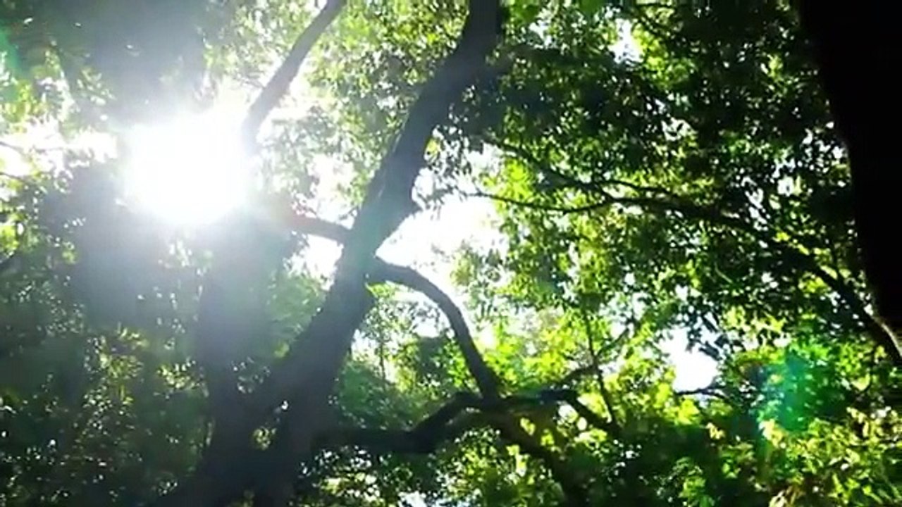 Amazing Video of Pangandaran Beach, west Java Indonesia