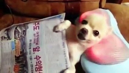 Funny Jokes Videos Best Prank and Gags of Web 14 - YouTube 2016